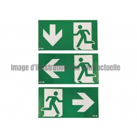 PANEL IP